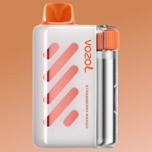 Vozol Vista 40k Passion Fruit Raspberry Tangerine Vozol Vista 40k Passion Fruit Raspberry Tangerine